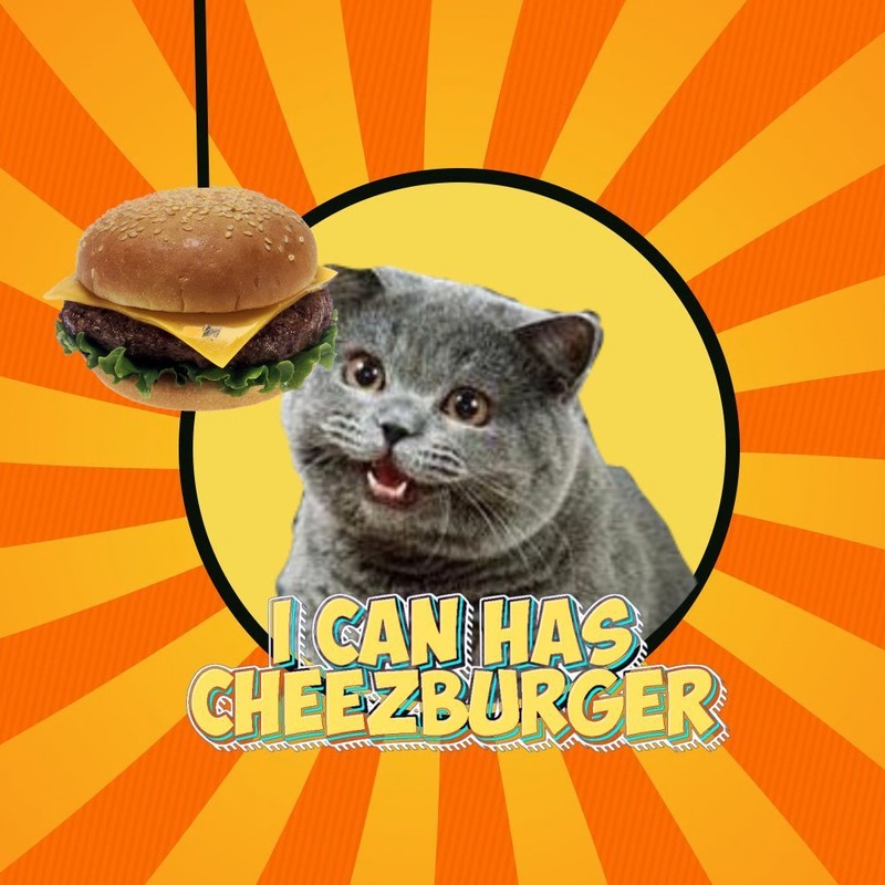 CHEEZBURGER Cat